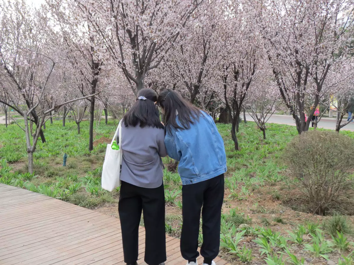 公园里两个人在私密谈话
