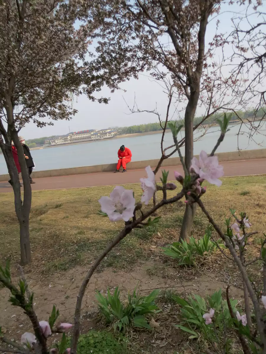 那一点红让我想起多少事