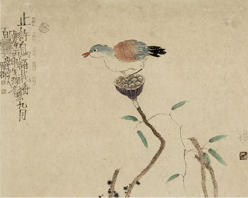 鸟 写意画