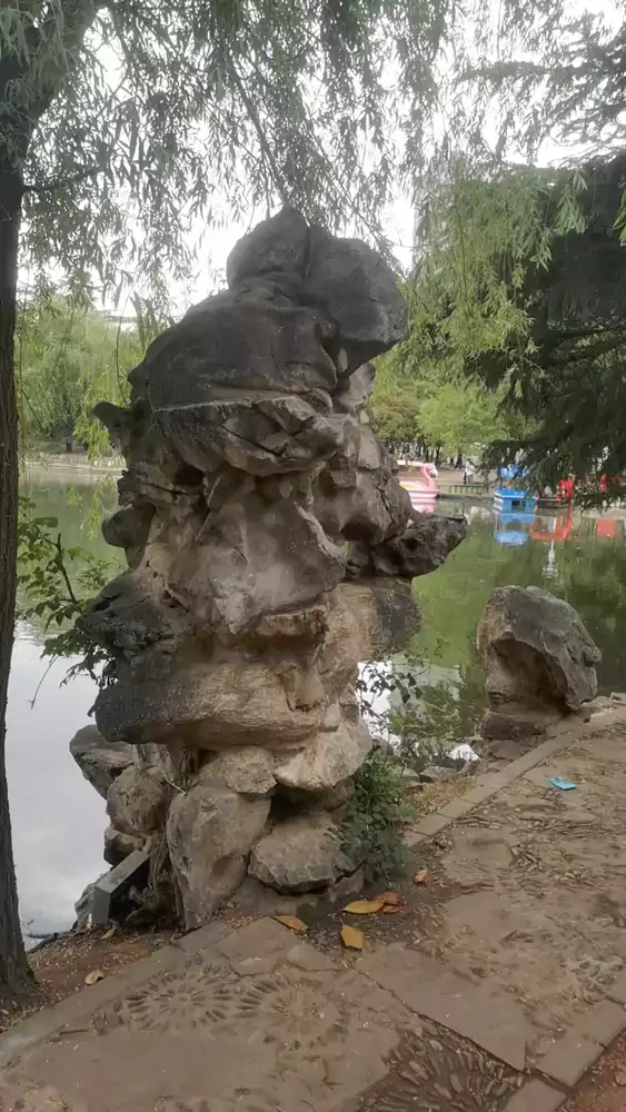 公园的石头 当天