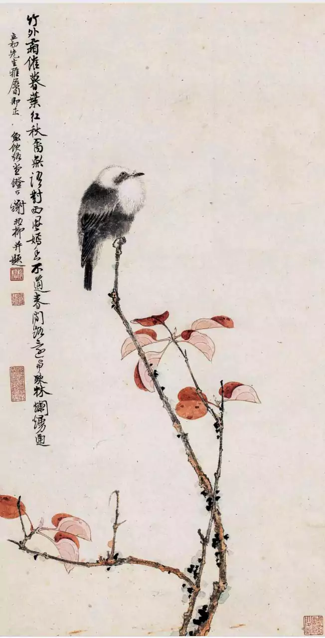 谢稚柳《红叶小鸟图》