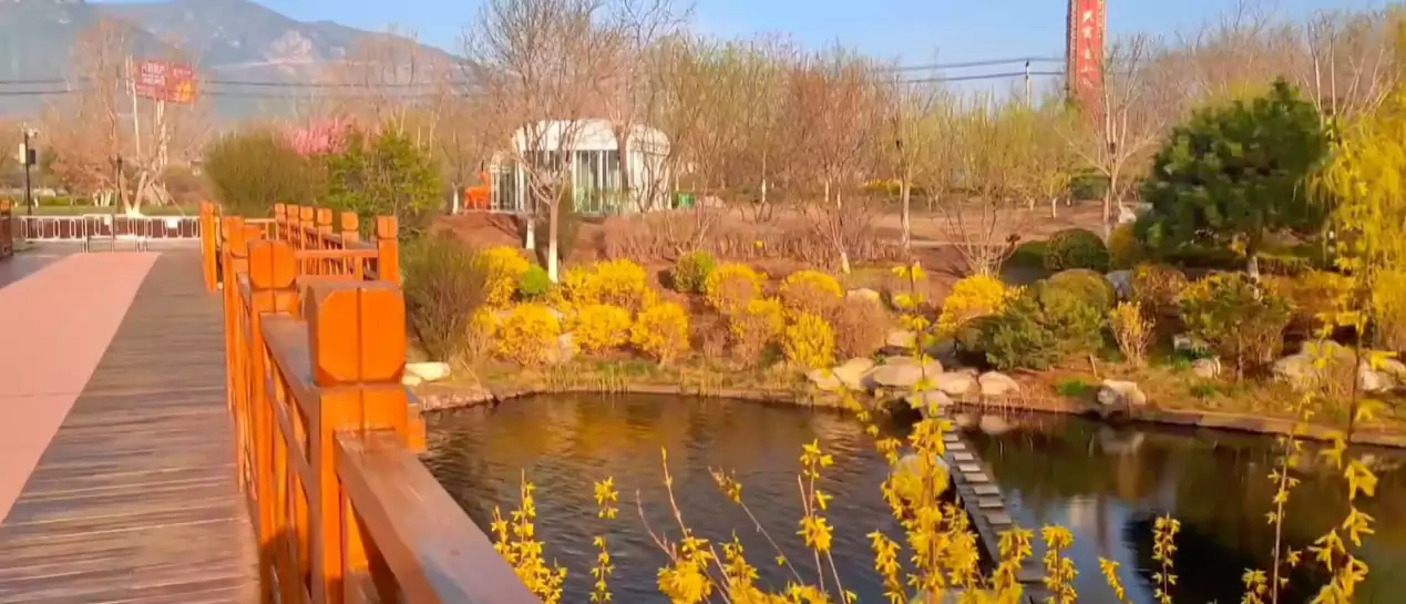 又风景
