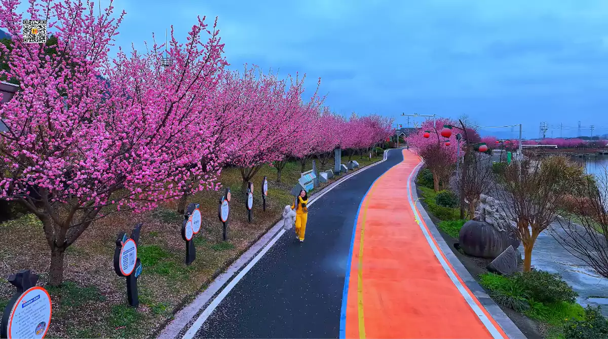 风景1