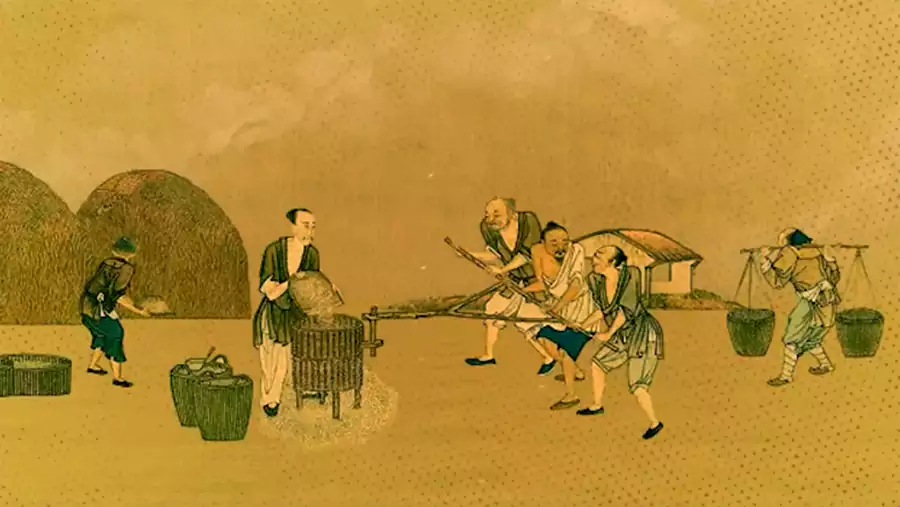 抖音图片1